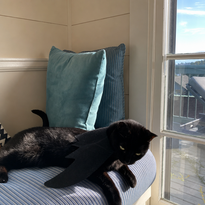 Puptailor Bat Wing Costume-Cat Halloween Costume