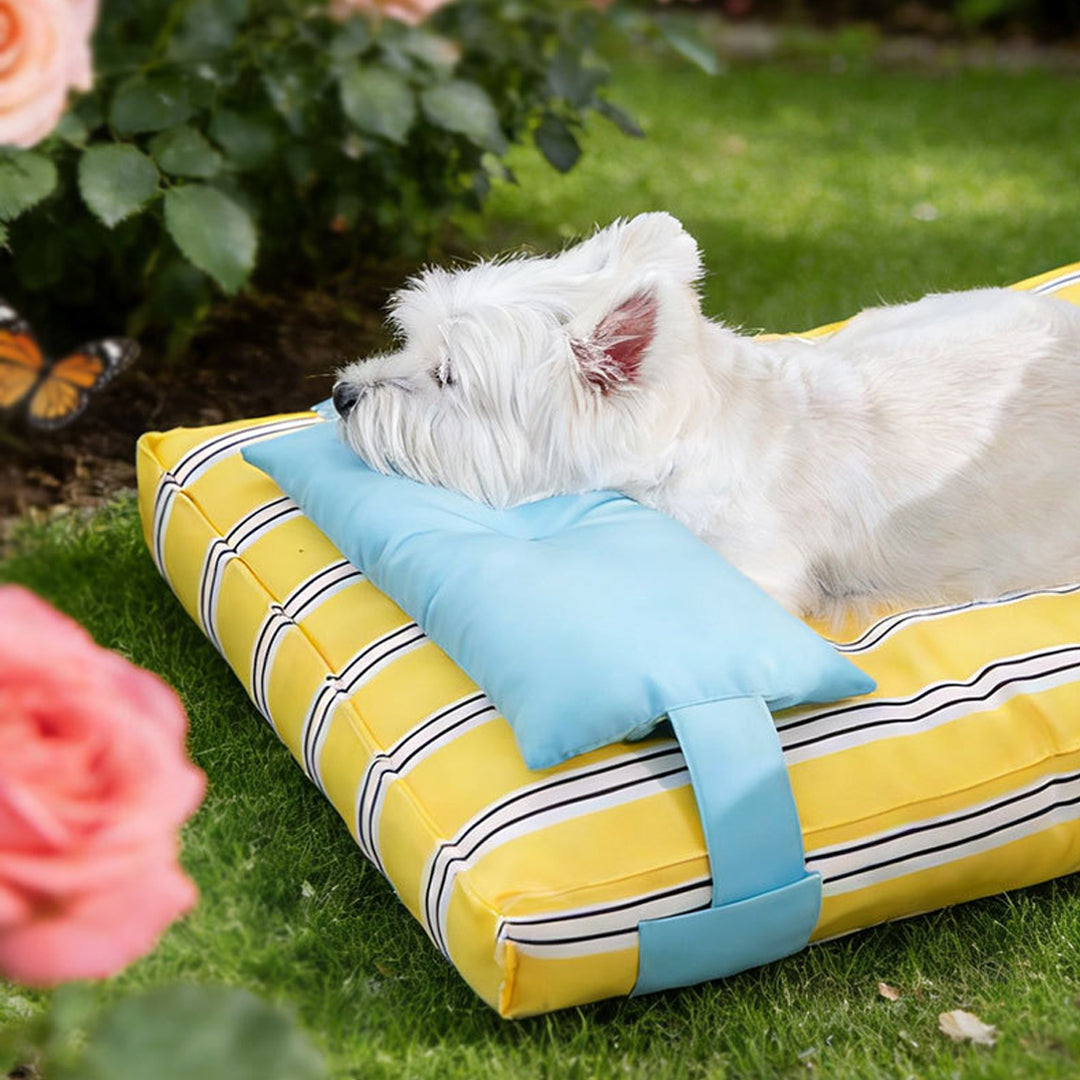 Personalized Waterproof Striped Pet Bed with Pillow
