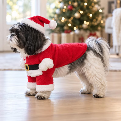 Santa Suit Pet Costume