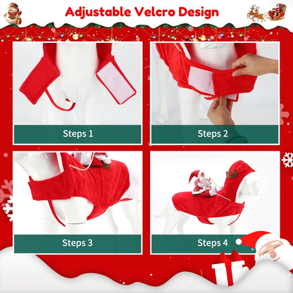 Santa's Sleigh Rider Dog Costume