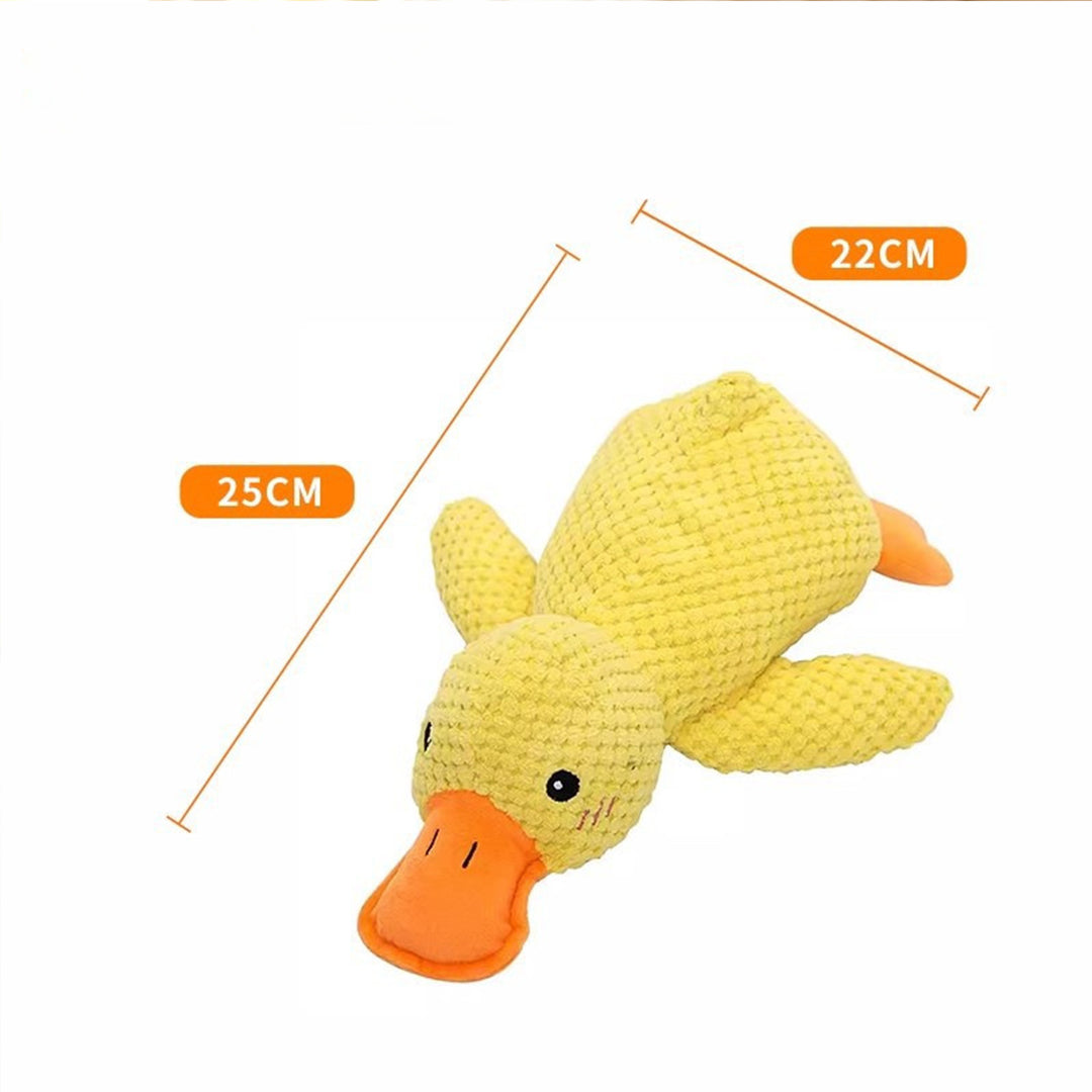 Durable, Squeaky Pet Toy for Teething and Boredom Relief