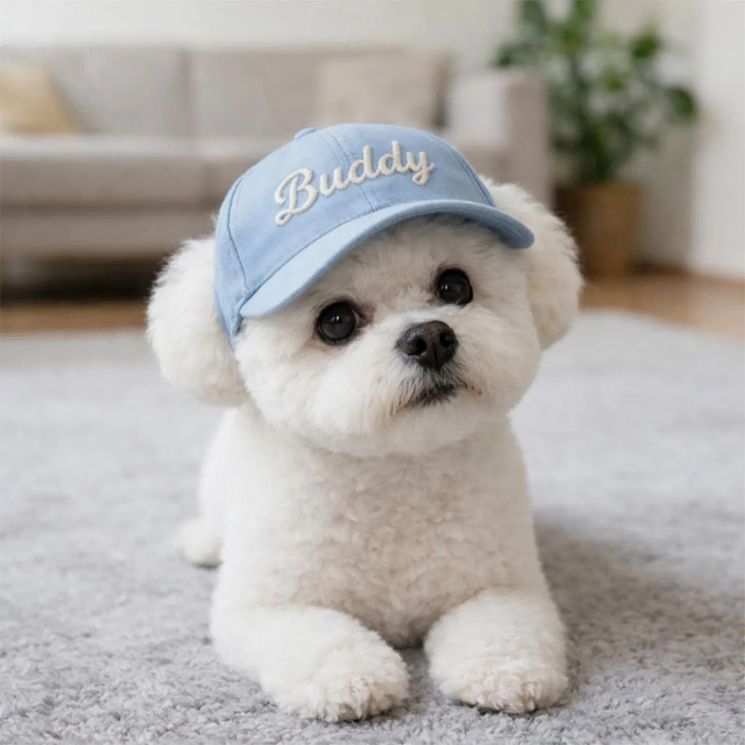 Personalized Custom Name Embroidered Outdoor Baseball Cap For Pet