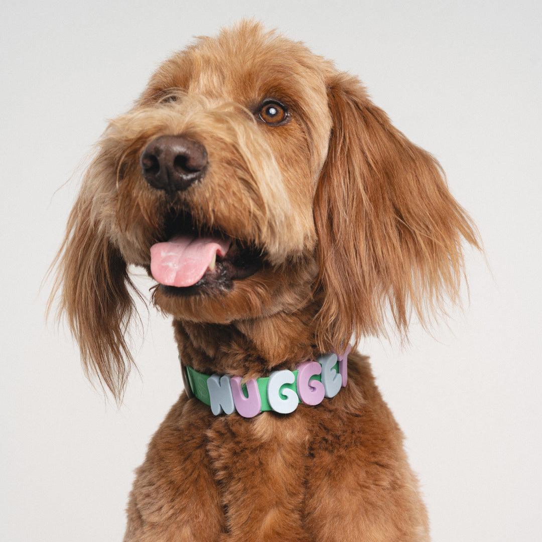 Personalized Waterproof Dog Collar with Charms