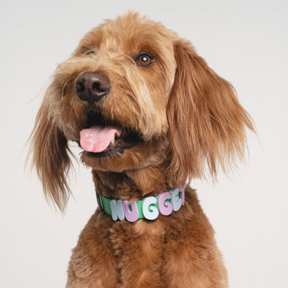Personalized Waterproof Dog Collar with Charms