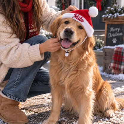 Personalized Santa Scarf & Cape Set for Pets
