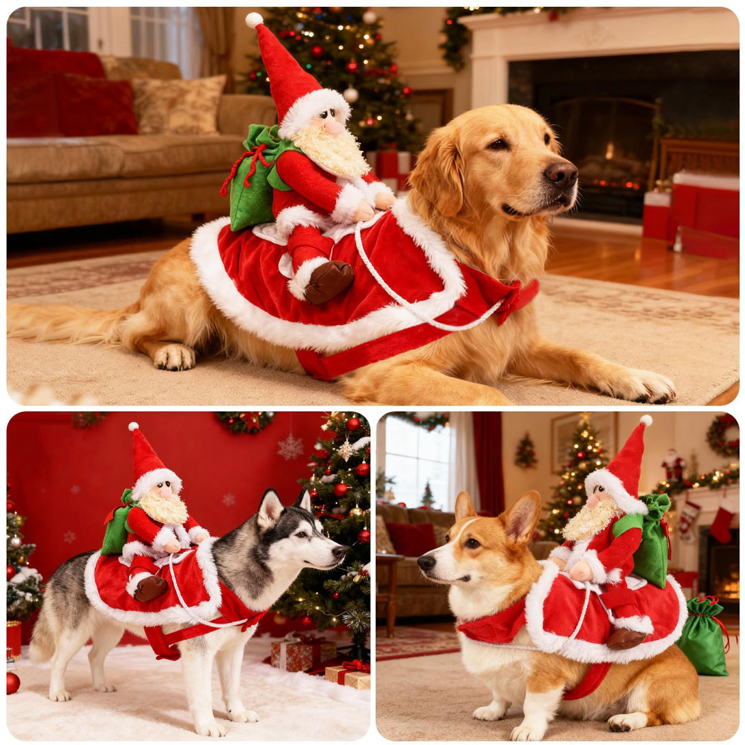 Santa Rider Dog Costume