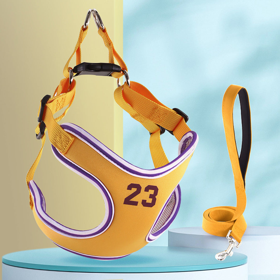 Dog Leash and Harness