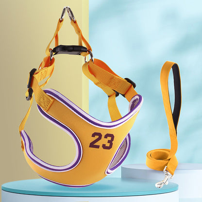 Dog Leash and Harness