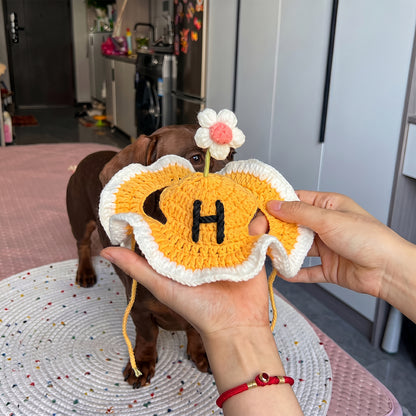 Personalized Initial Crochet Dog Hat