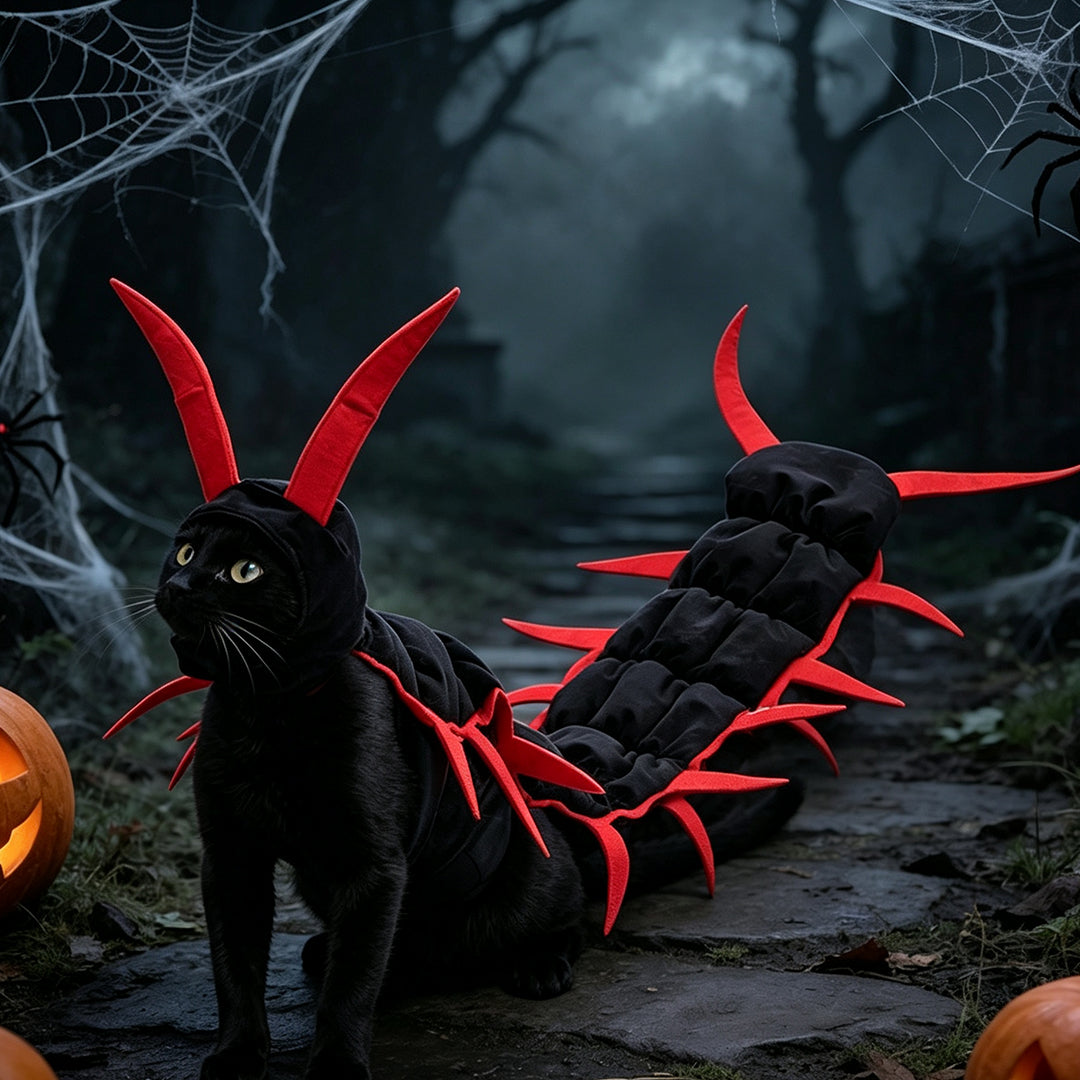 Cat Centipede Costume for Halloween