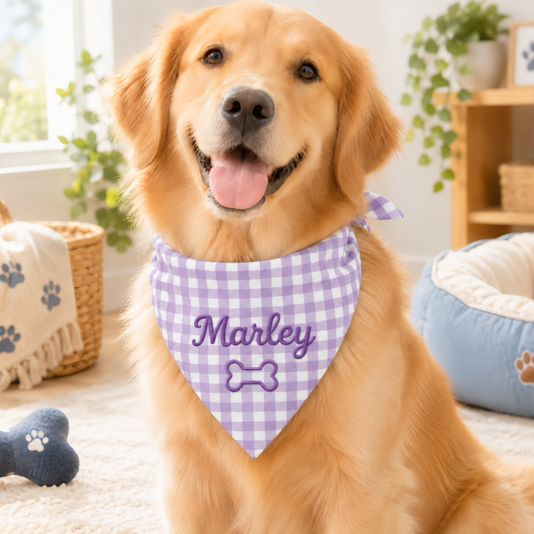Personalized Embroidered Gingham Pet Bandana