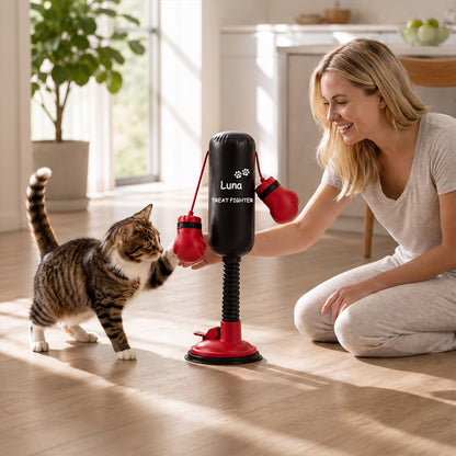 Personalized Mini Cat Boxing Toy