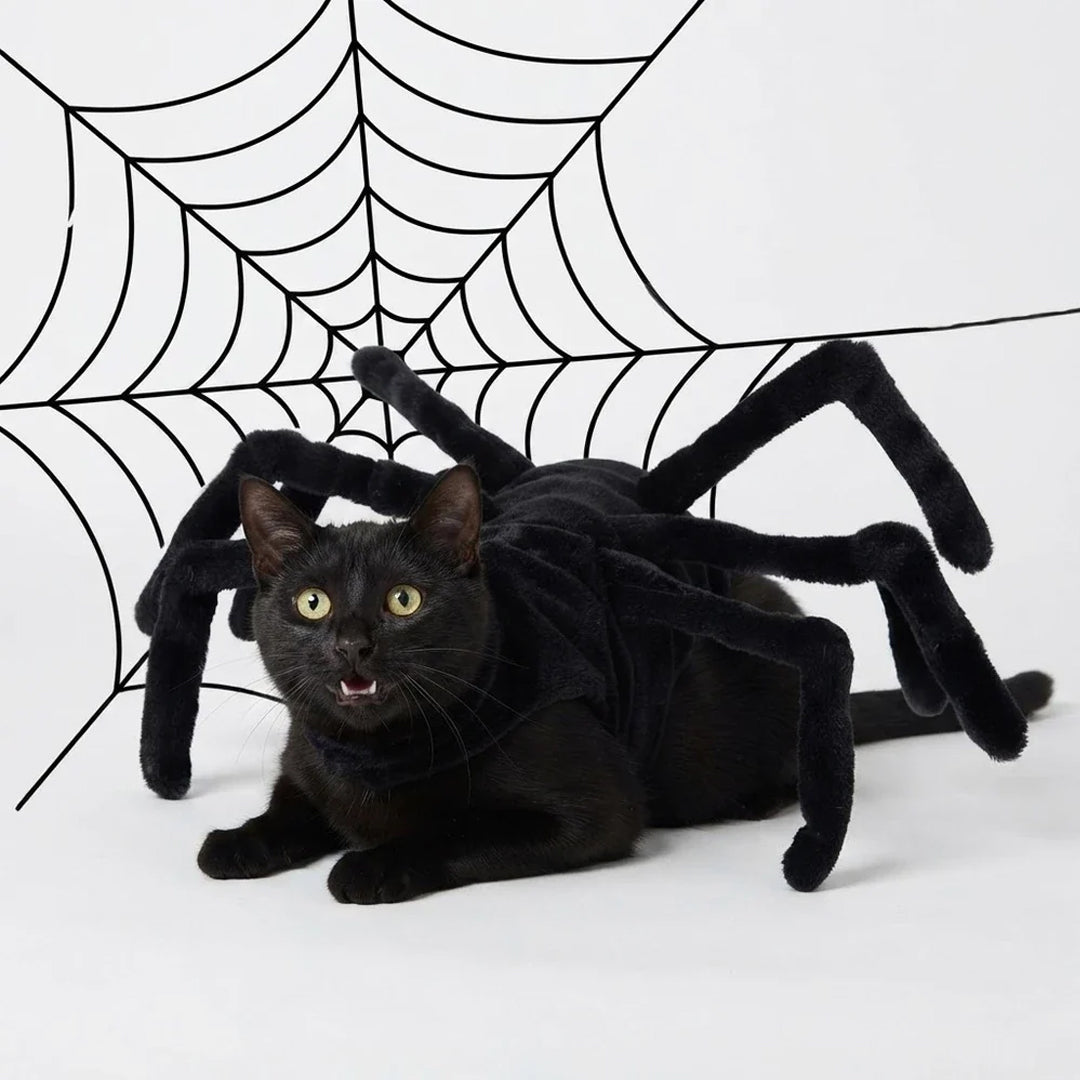 Puptailor Pet Spider Halloween Costume for Cats & Small Dogs