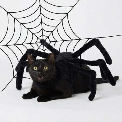 Puptailor Pet Spider Halloween Costume for Cats & Small Dogs