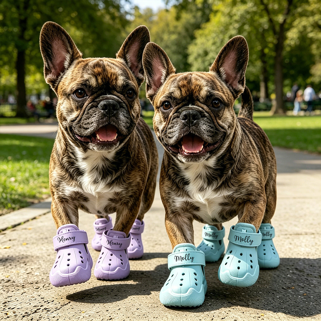 Personalized Name Dog Shoes