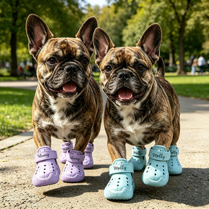 Personalized Name Dog Shoes