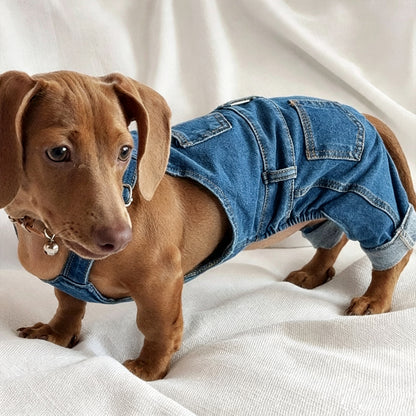 Personalized Embroidered Name Dog Denim Overalls