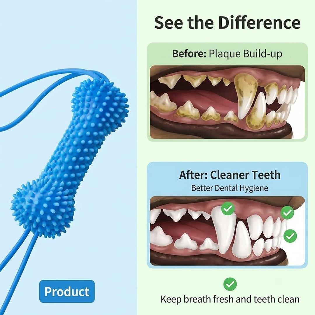 Dog Teething Toy