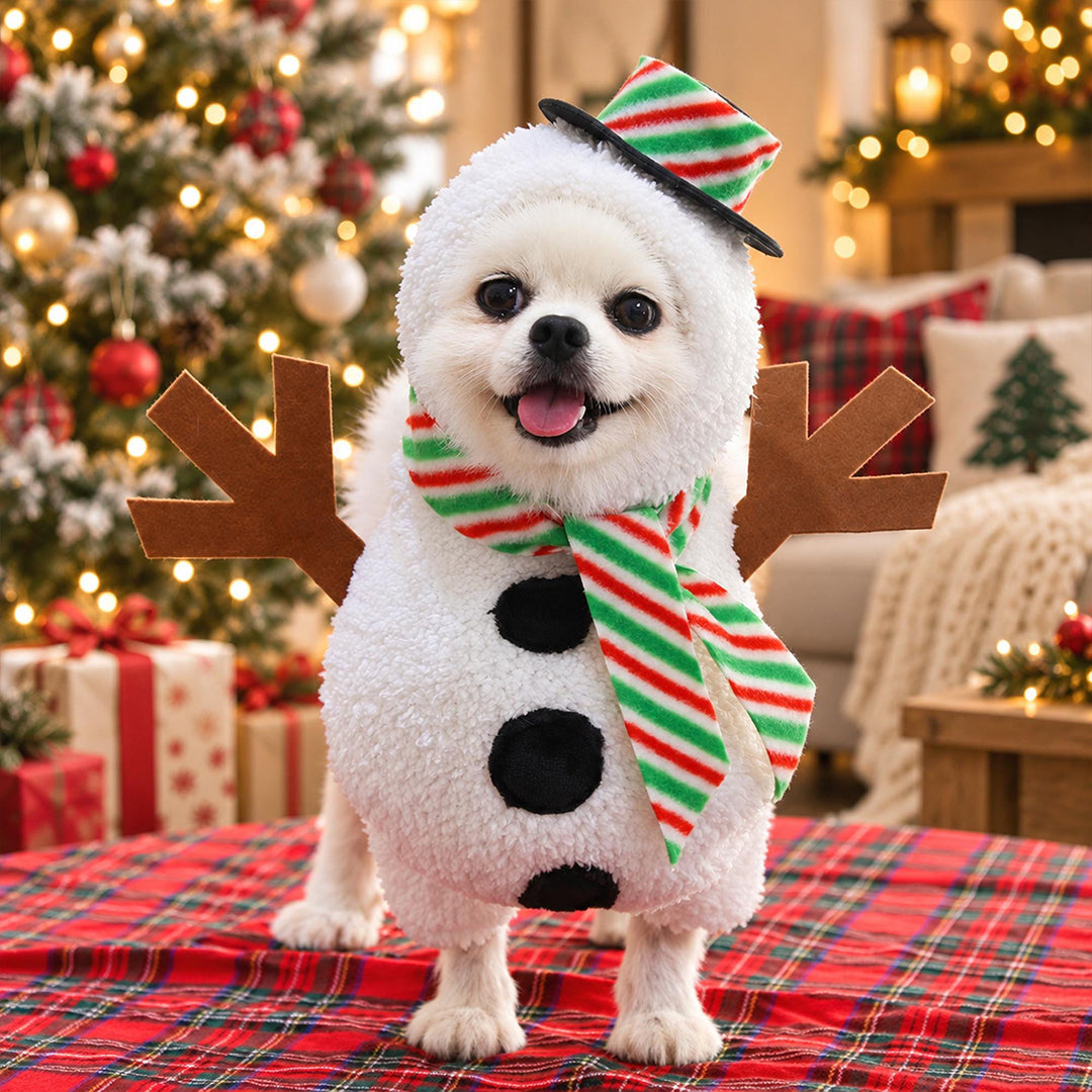 Snowman Costume for Small Dogs