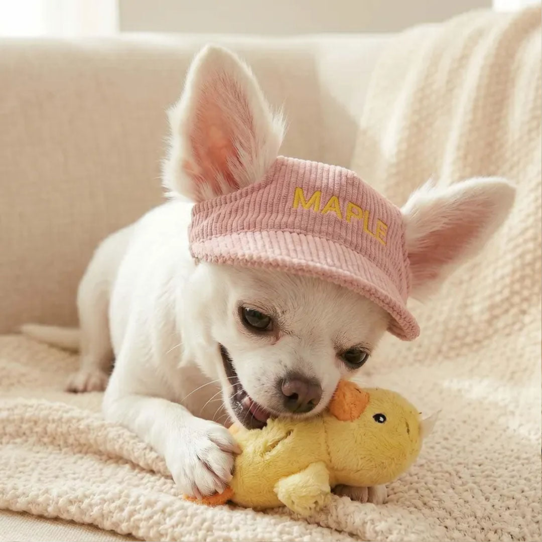 Personalized Corduroy Embroidered Pet Hat