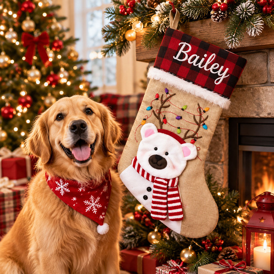 Personalized Christmas Stocking with Name