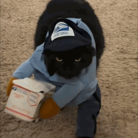 Delivery Driver Dog Costume