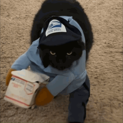 Delivery Driver Dog Costume