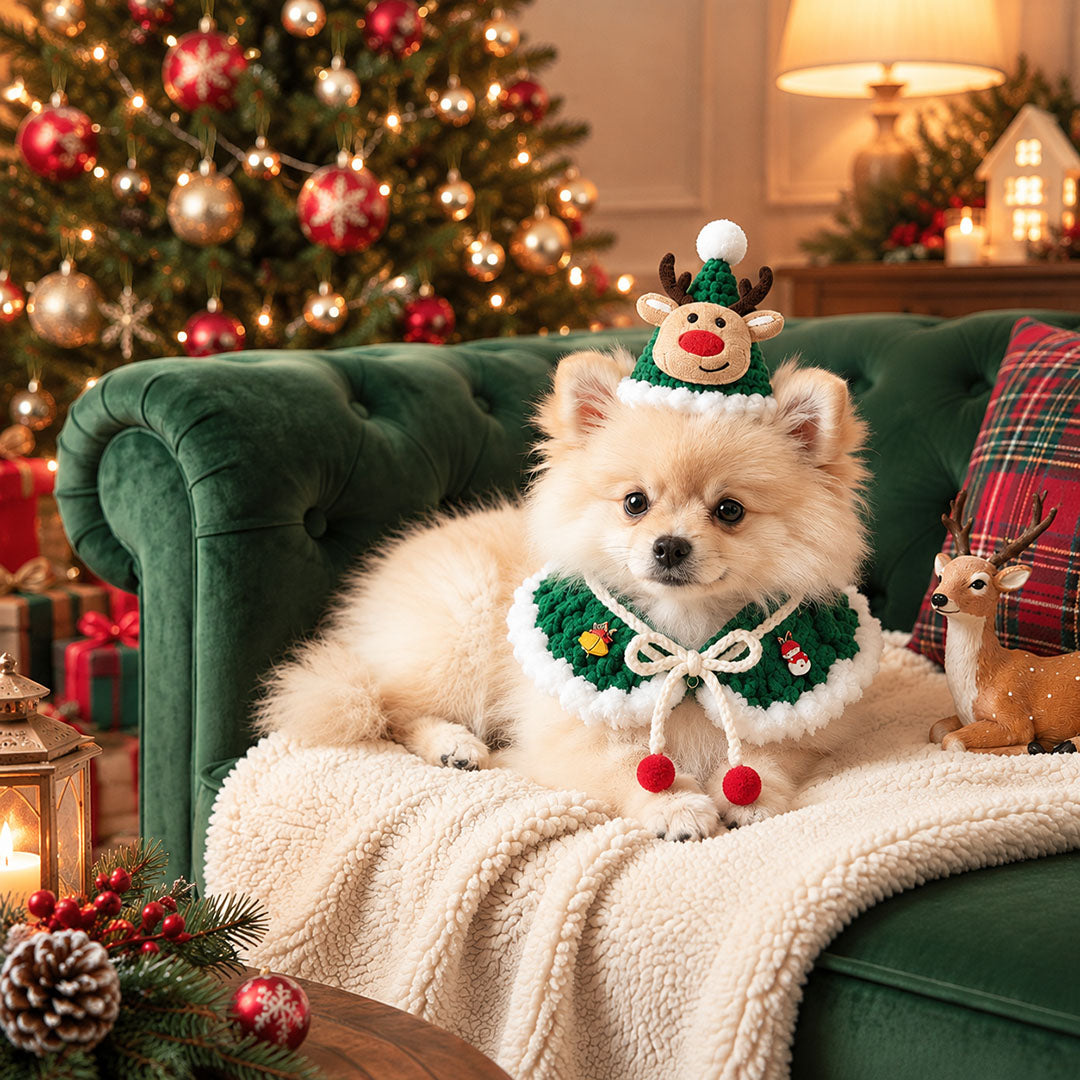 Christmas Pet Knit Scarf & Hat