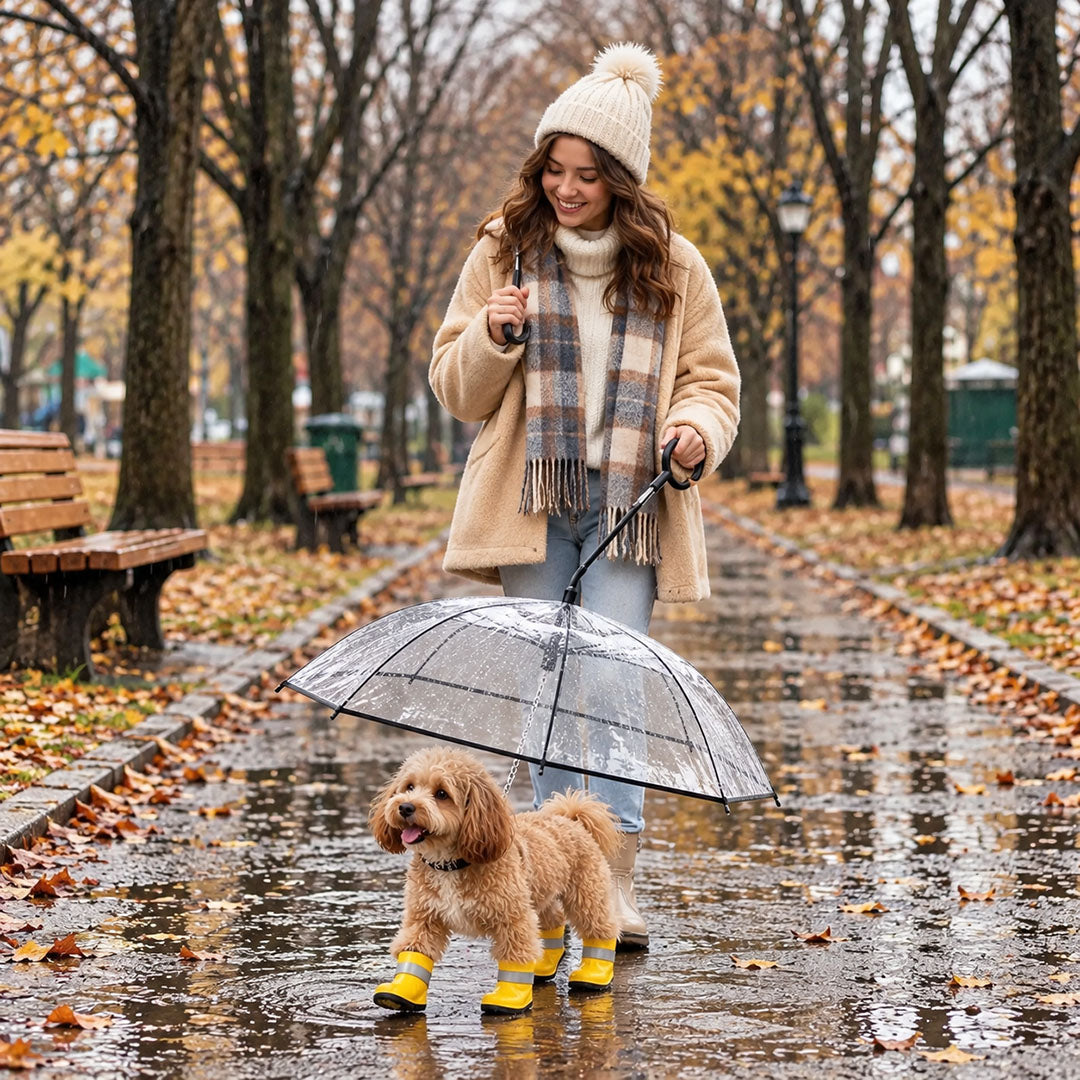 Clear Dog Umbrella with Leash