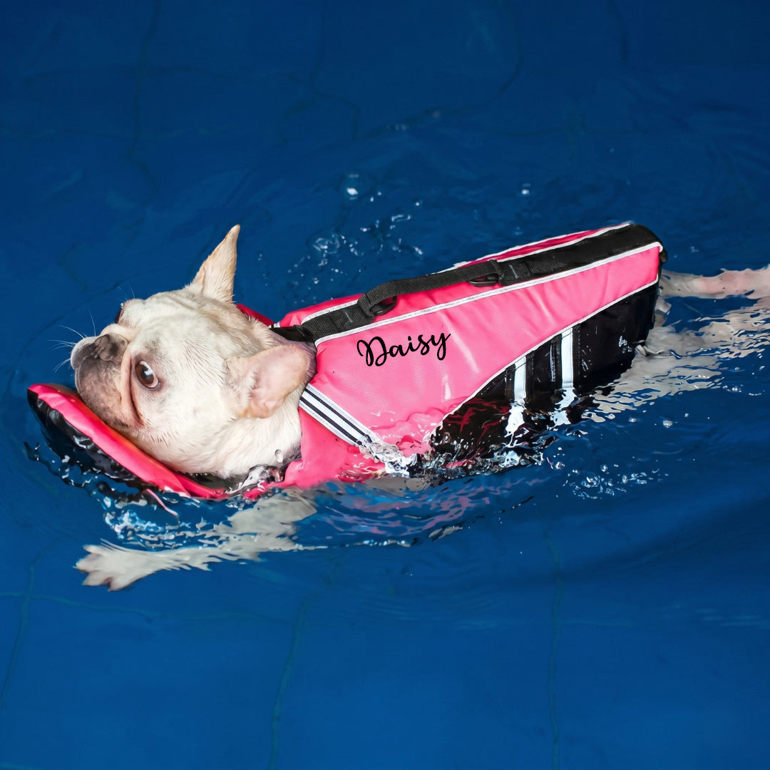 Personalized Dog Life Jacket
