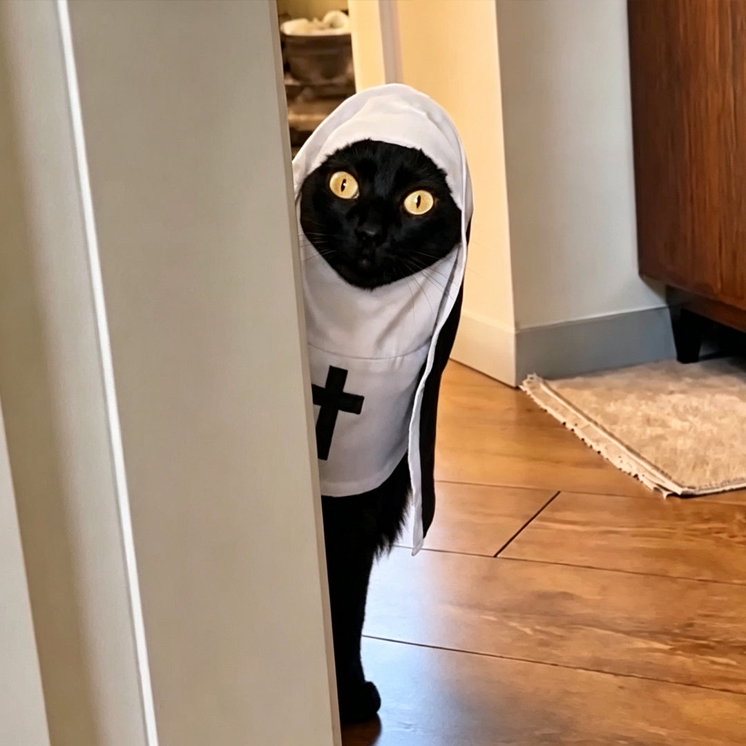Puptailor Funny Halloween Nun Costume for Pets