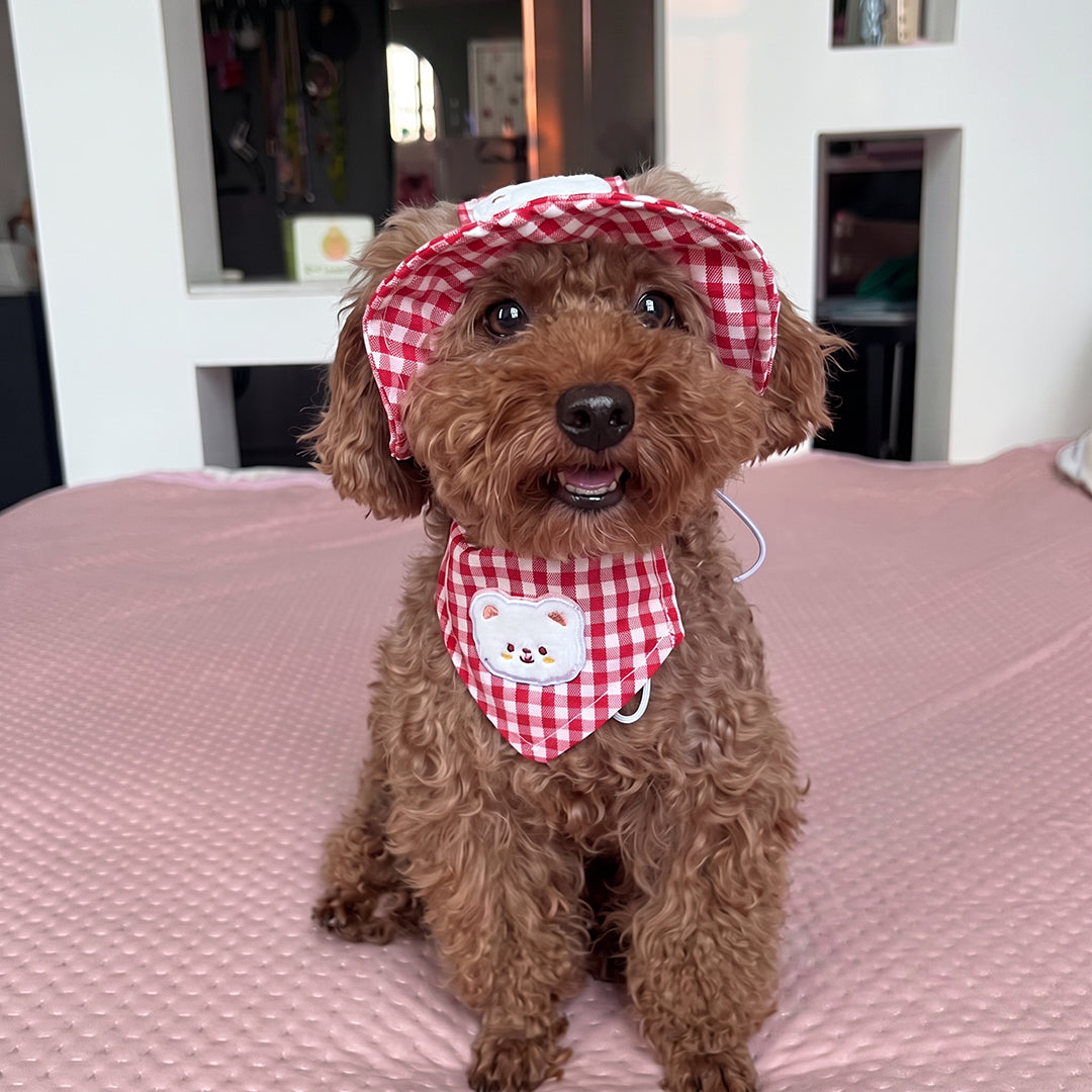 Puptailor Cute Bear Gingham Pet Hat And Bandana Set For Cats Small Dogs