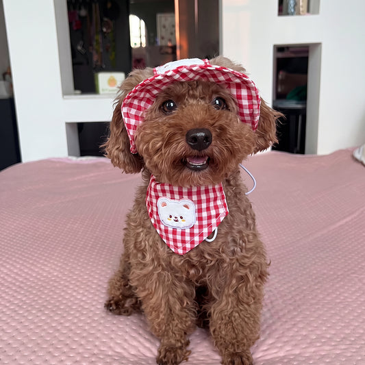 Puptailor Cute Bear Gingham Pet Hat And Bandana Set For Cats Small Dogs