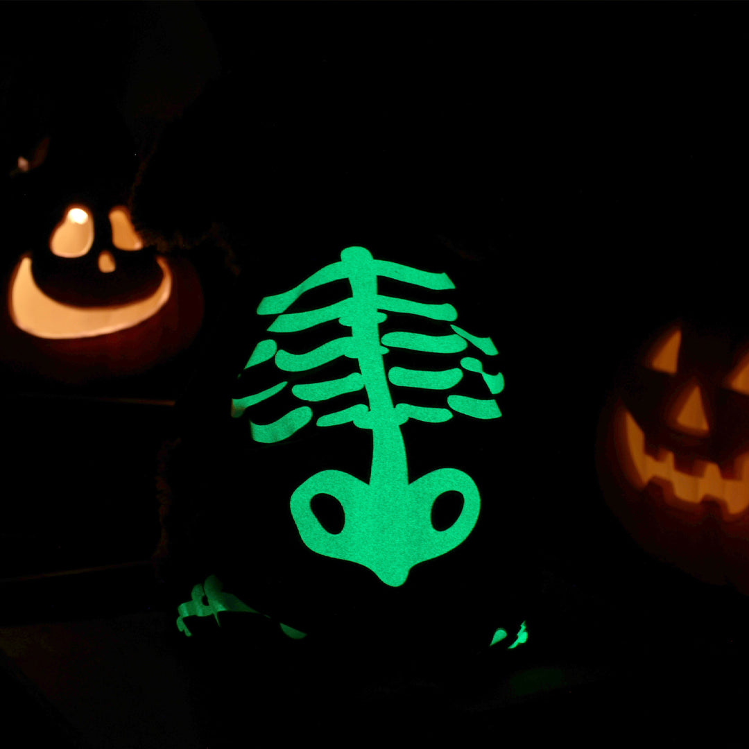 Puptailor Halloween Pet Costume with Glow-in-the-dark