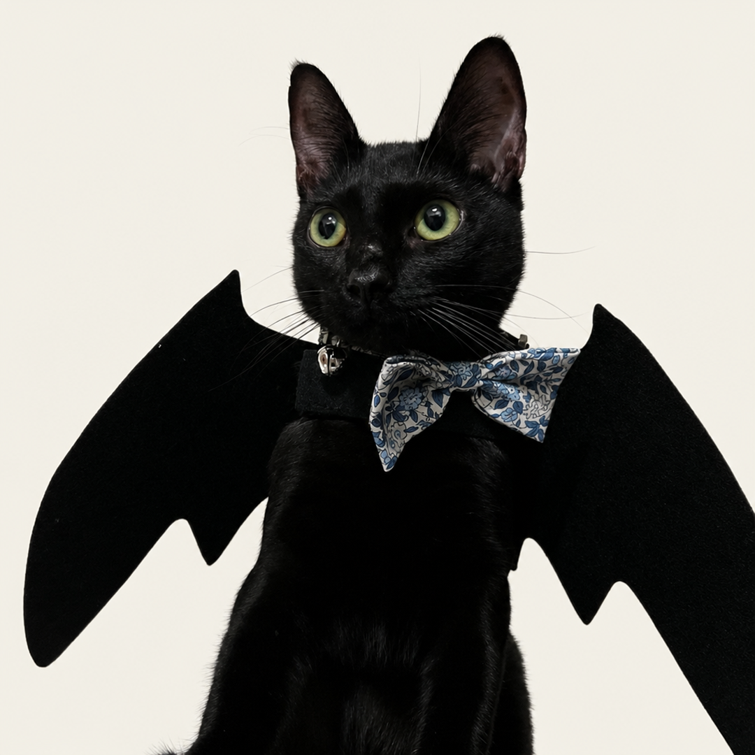 Puptailor Bat Wing Costume-Cat Halloween Costume