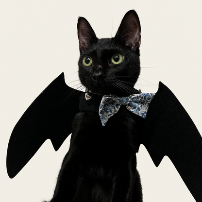 Puptailor Bat Wing Costume-Cat Halloween Costume