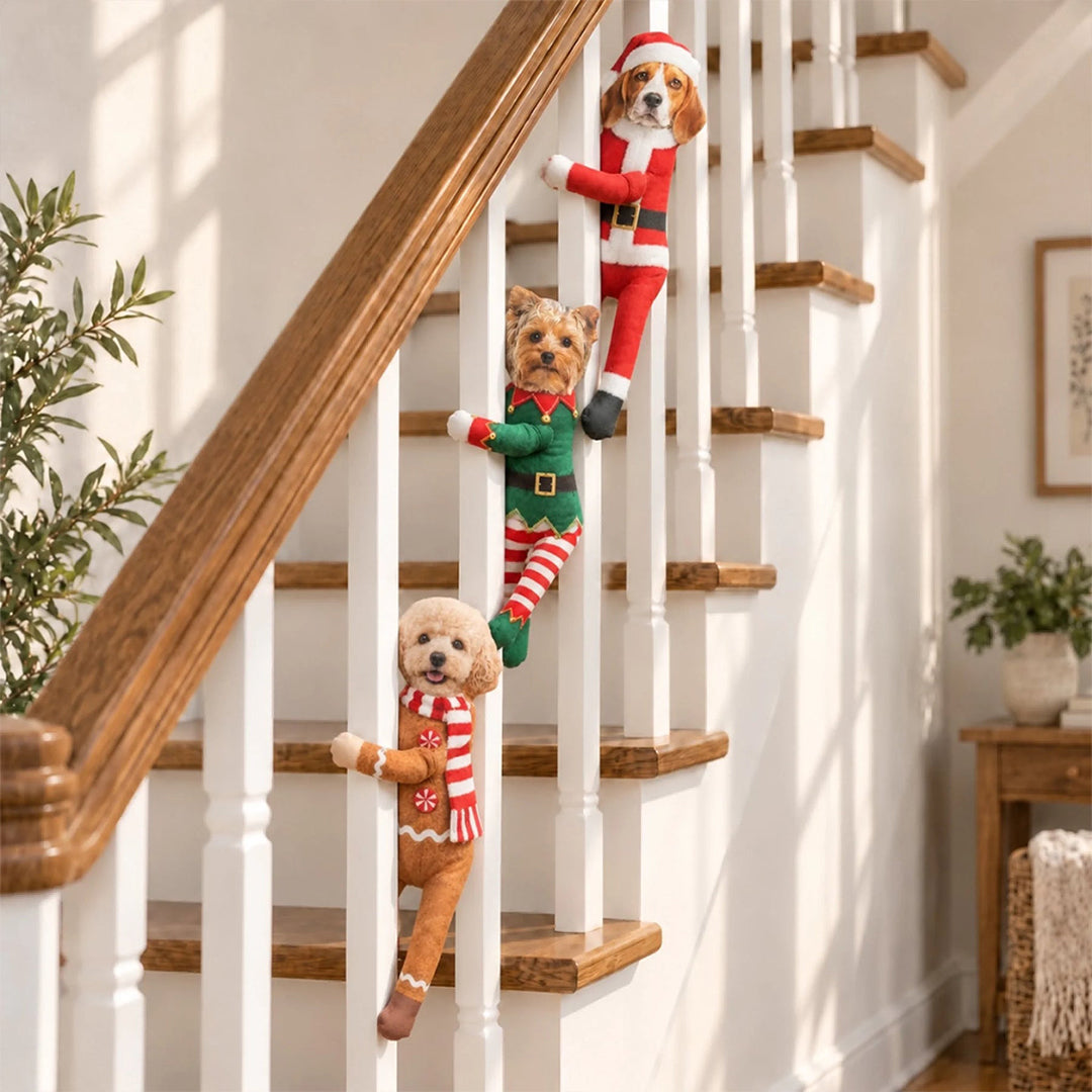 Personalized Christmas Costume Pet Poseable Plush Doll with Funny Pet Photos