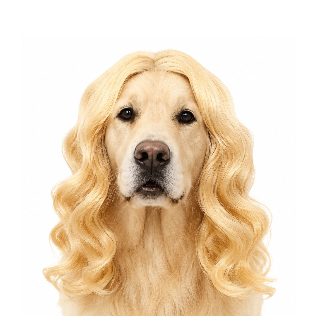 Funny Dog Wigs — Adjustable Pet Costume Hair