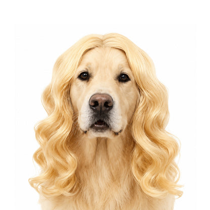 Funny Dog Wigs — Adjustable Pet Costume Hair