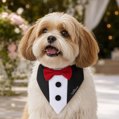 Personalized Embroidered Name Tuxedo-Style Dog Bandana