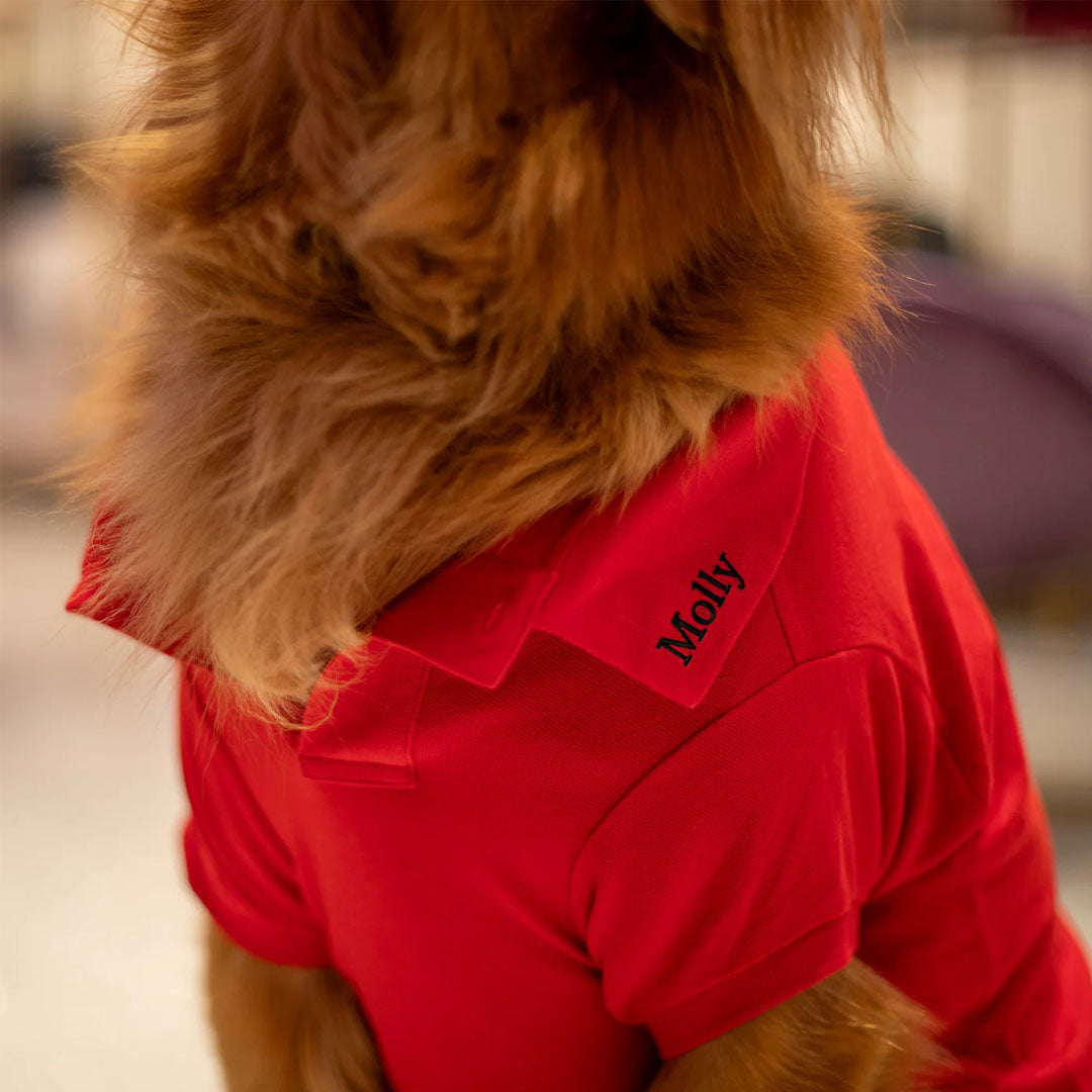 Customized Mesh Cotton Polo Shirt