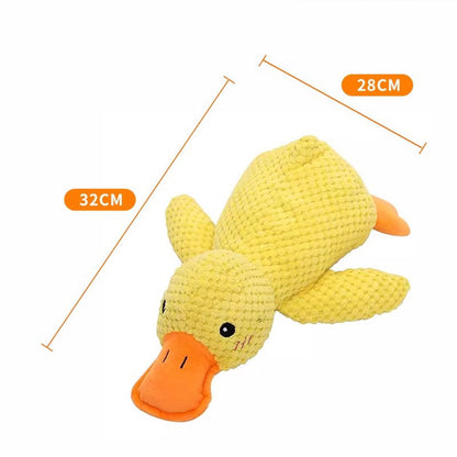 Durable, Squeaky Pet Toy for Teething and Boredom Relief