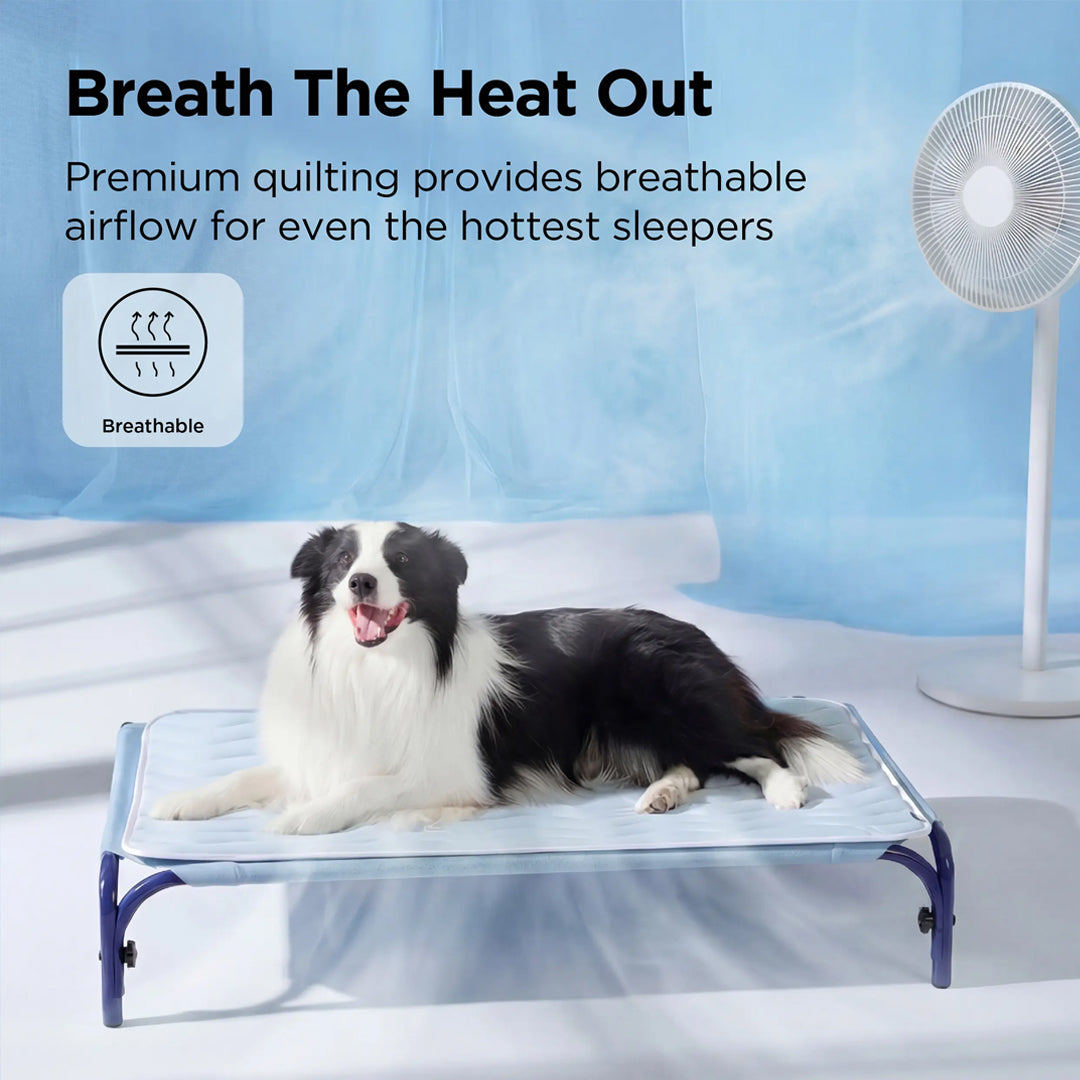 Personalized Pet Cooling Mat