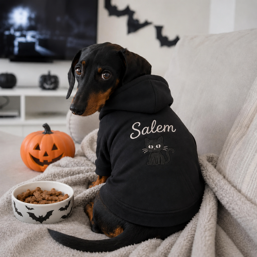 Personalized Halloween Name Dog Hoodie