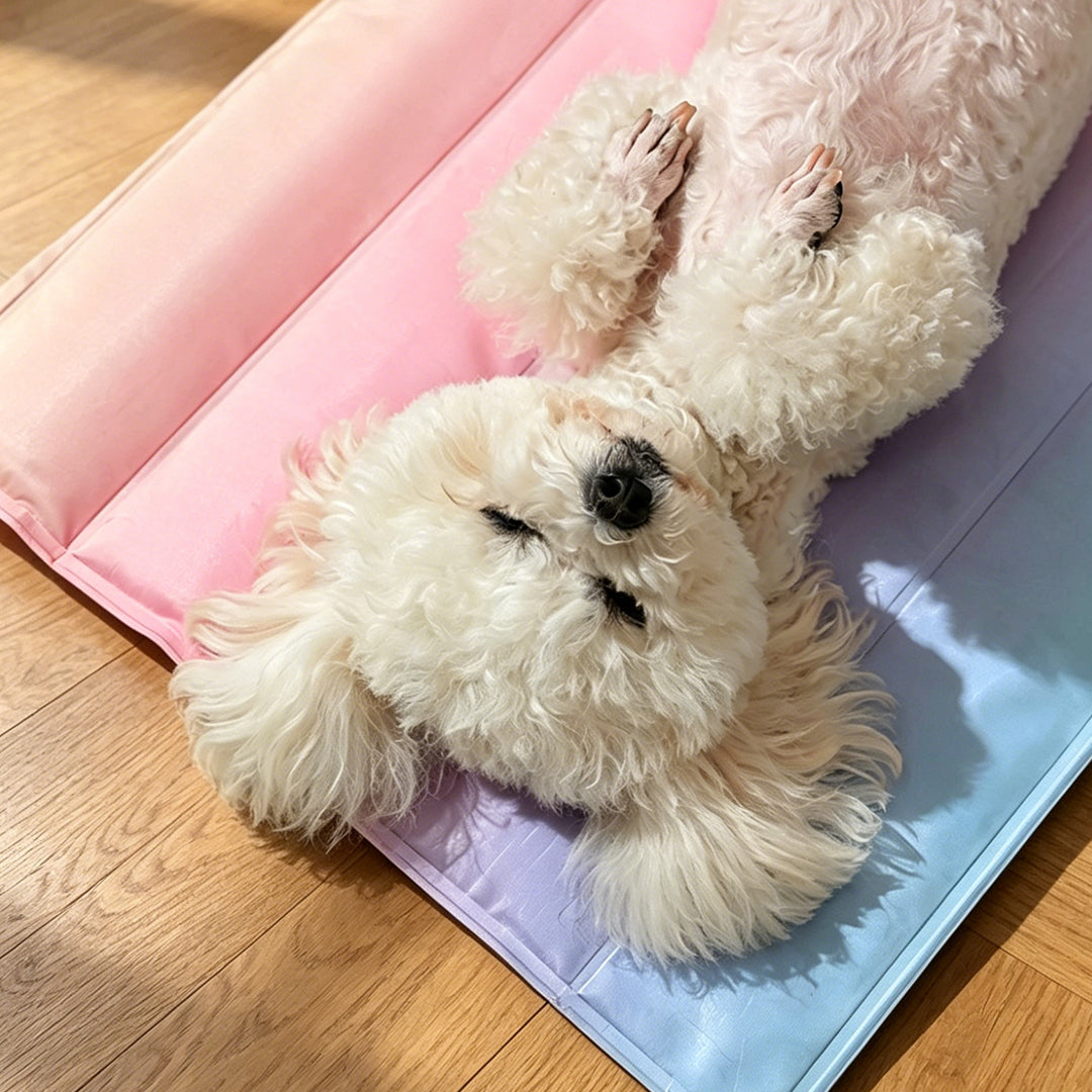 Custom Rainbow Pet Cooling Mat