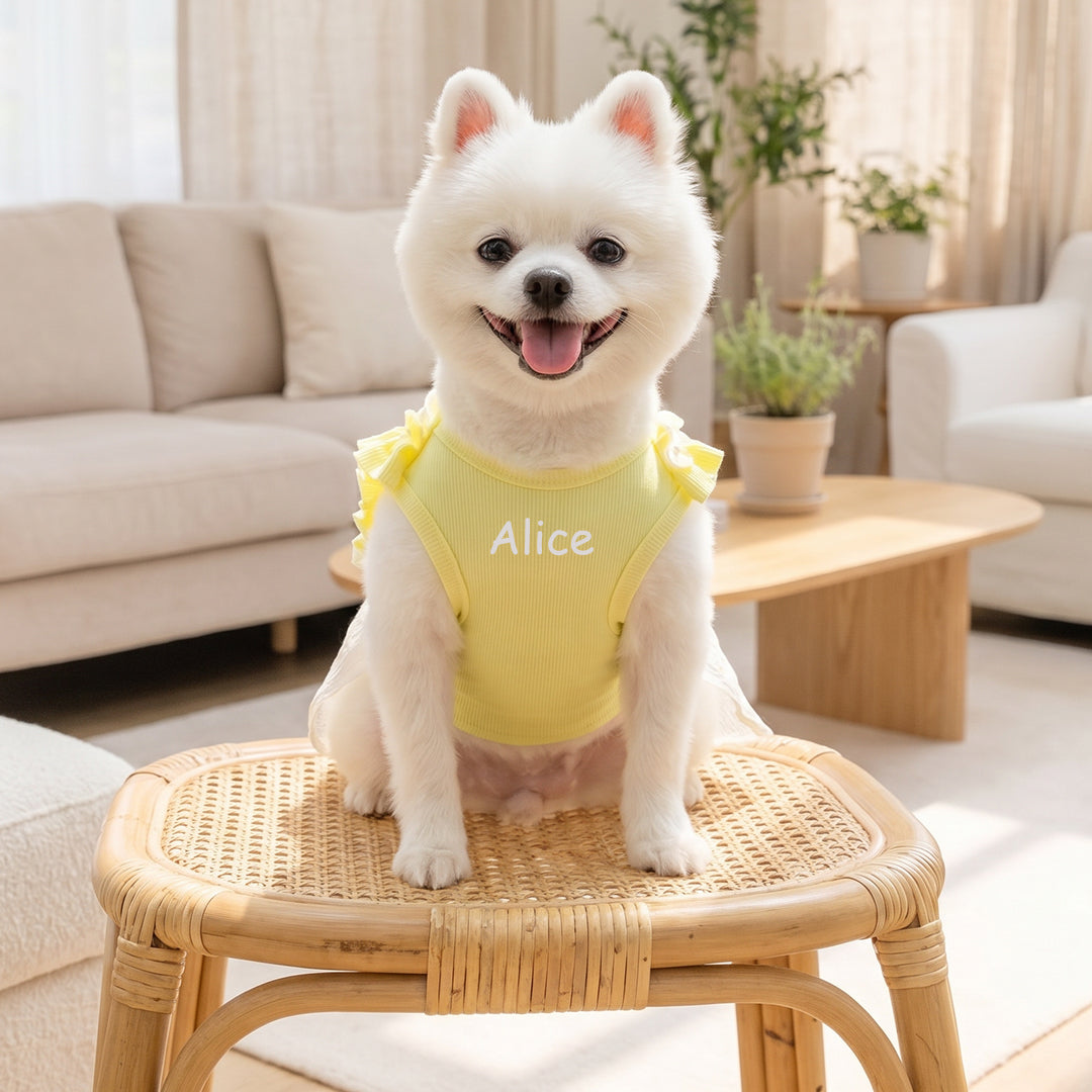 Personalized Polka-Dot Tulle Dog Dress