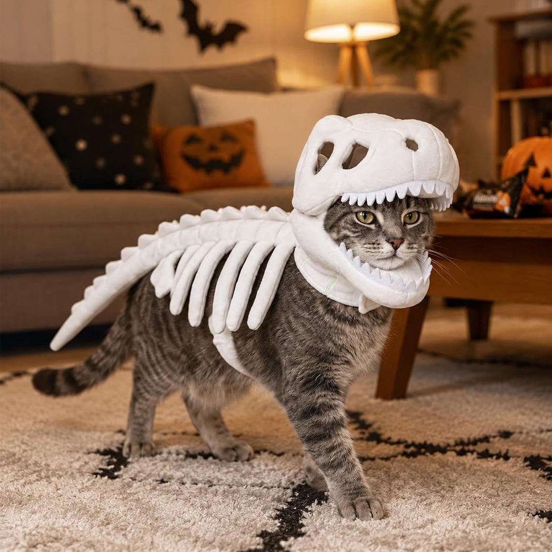 Puptailor Glow-in-the-Dark Dinosaur Skeleton Pet Halloween Costume