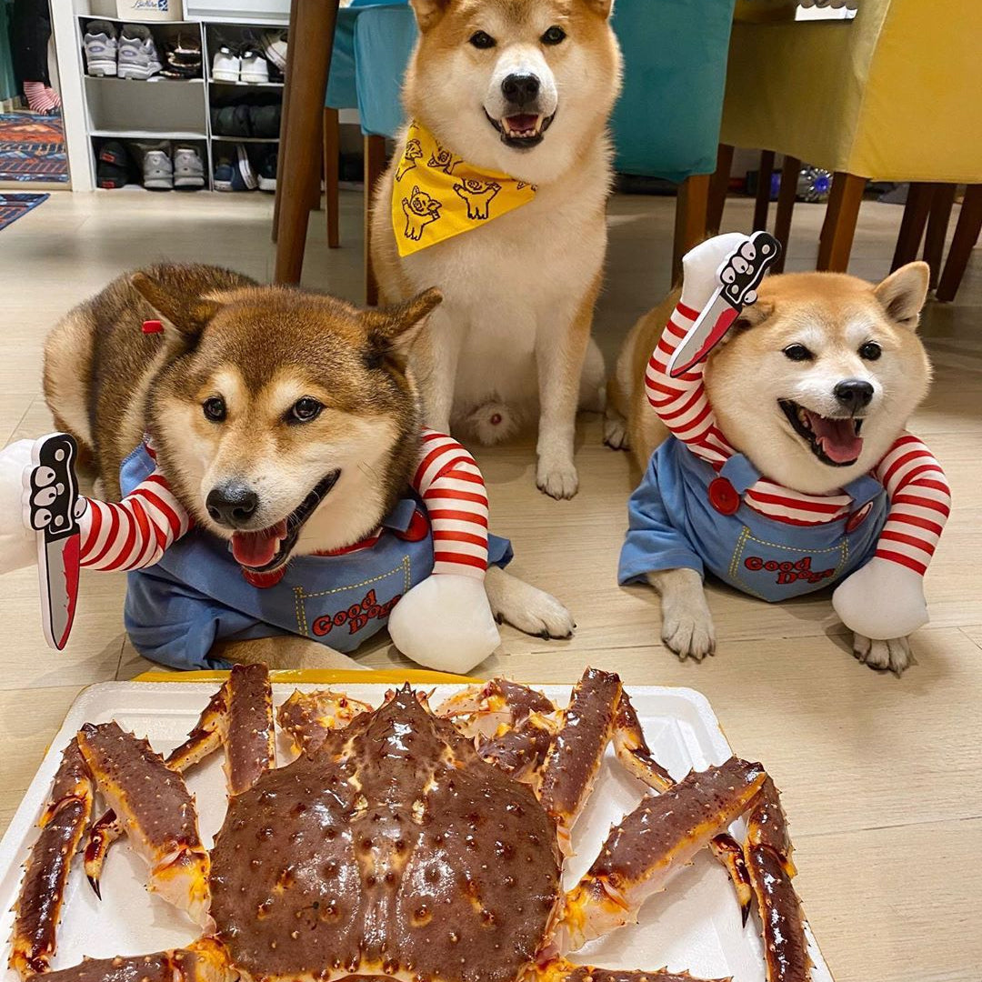 Puptailor Creative 3D Pet Halloween Costume