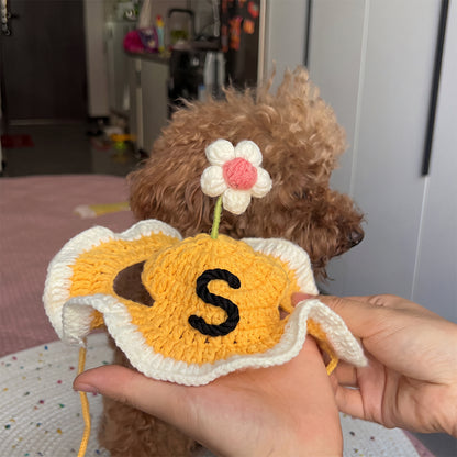 Personalized Initial Crochet Dog Hat