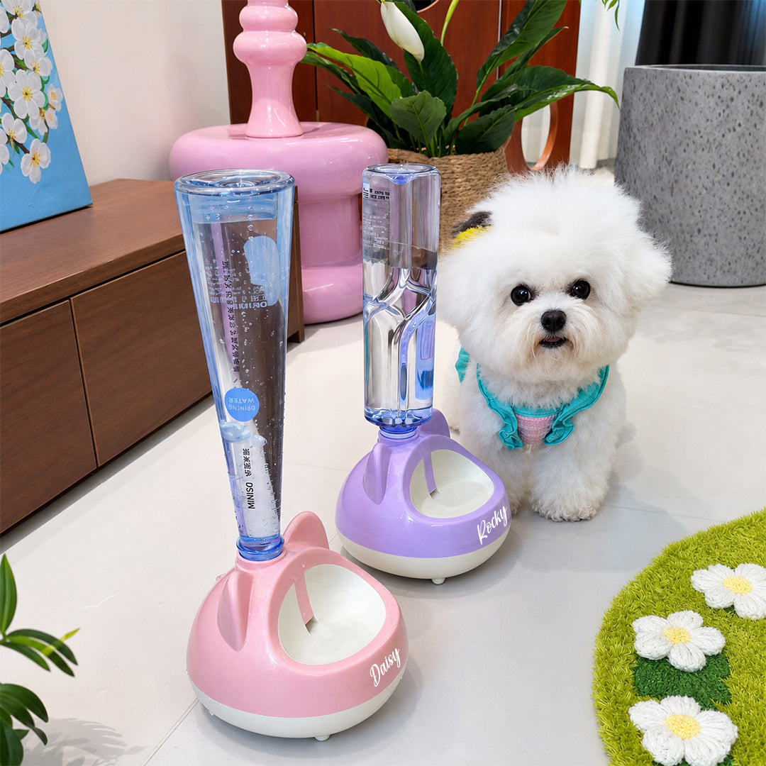 Personalized Gravity-Powered Pet Water Fountain